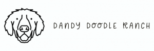 Dandy Doodle Ranch